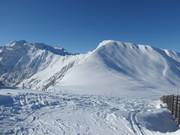 Powder slopes with views of the Pleschnitz-Zinken
