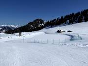 Storage pond at Hornberg