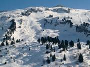 Deep powder slopes at Saloberkopf