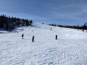 Easy and wide slope Familjebacken in Hundfjället