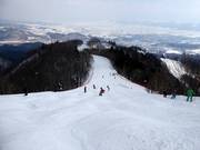 Mogul slope Ladies Downhill
