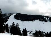 Slopes at the Stübenwasenlift