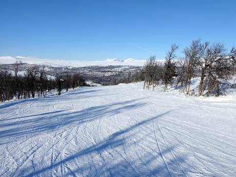 Slope offering Funäsfjällen – Slope offering Ramundberget