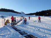 Tip for children  - Kinderwiese Postalm