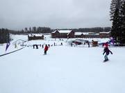 Beginner area Sunny Side with conveyor belts