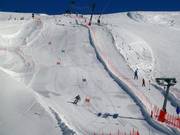 Race track Dantercepies