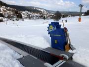 Conveyor belt for beginners and tobogganers