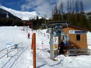 Mighty Moose Platter - J-bar