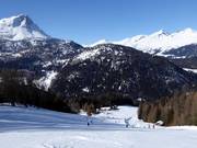 Valley run Bergkastel with a view of the Lärchenalm
