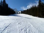 Incline downhill run