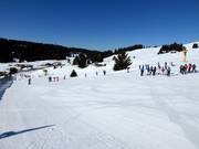 Practice slope with Baby Coe conveyor belt at Passo Coe