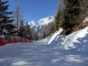 Connecting trail of the Doss dei Cembri piste