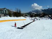 Conveyor belt Mini Moose