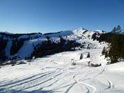 View over Grasgehren towards Riedbergerhorn (1787 m)
