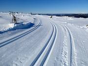 Toppspåret cross-country trail at the summit
