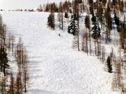 Forest trail at the Pelevos gondola lift