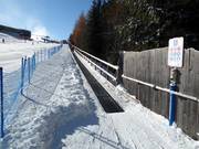 Fiocco di neve - People mover