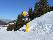 High-performance snow cannon in the Folgaria/Fiorentini ski area