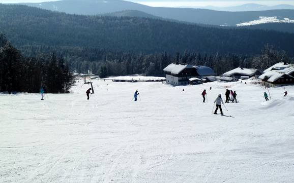 Ski resorts for beginners in the County of Freyung-Grafenau – Beginners Mitterdorf (Almberg) – Mitterfirmiansreut