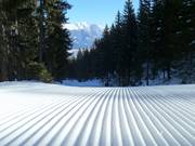 Groomed slope on the Mutterer Alm
