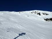 Powder snow paradise between Parwengesattel and Lengebrand