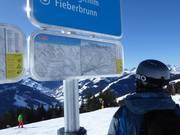 Signposting with small piste map (overview and detailed view)