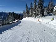 Fairy Tale Run at Rittisberg