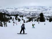 Slope at Middle Bowl Express