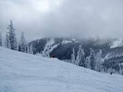 Deep powder slopes at Red Mountain Resort