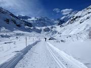 Trail to the terminus of the Morteratsch Glacier