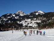 Trail in Bayrischzell