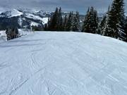 There are gentle slopes on the Wastlhöhe.