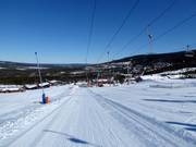 Trippelliften 2 - T-bar