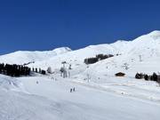 Easy slopes Survih and Pulvrera