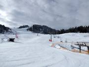 View of the ski slope at Katzenkopf