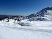 Easy slope Orlove glave No. 4