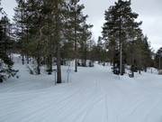 Easy slope in the ski resort of Ounasvaara