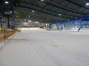 The lower part of the main slope