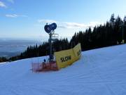 Snow cannon at Grouse Mountain