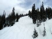 Talon's Grip downhill run