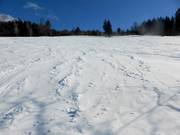 Freeride slope between Kapellenlift and Scheuermattlift