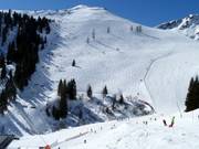 Freeride area at Zweitausender