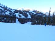 Intermediate slope Eagle Flight