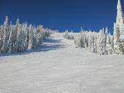 View of the difficult slope Bluff