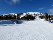 Easy and wide family slope