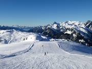 Muri Standard descent