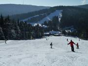 Ski run at Hundseck