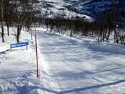 Beginner area at the Mikkel and Mikkeline button lifts