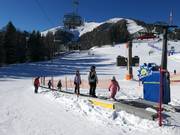 Magic Carpet Babylift