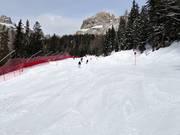 Del Bosco downhill run